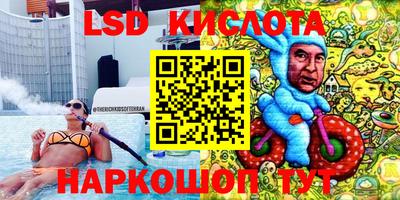 крисы Гатчина