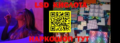 крисы Гатчина