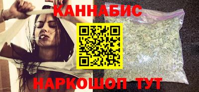 крисы Гатчина