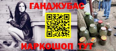крисы Гатчина