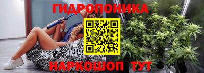 крисы Гатчина