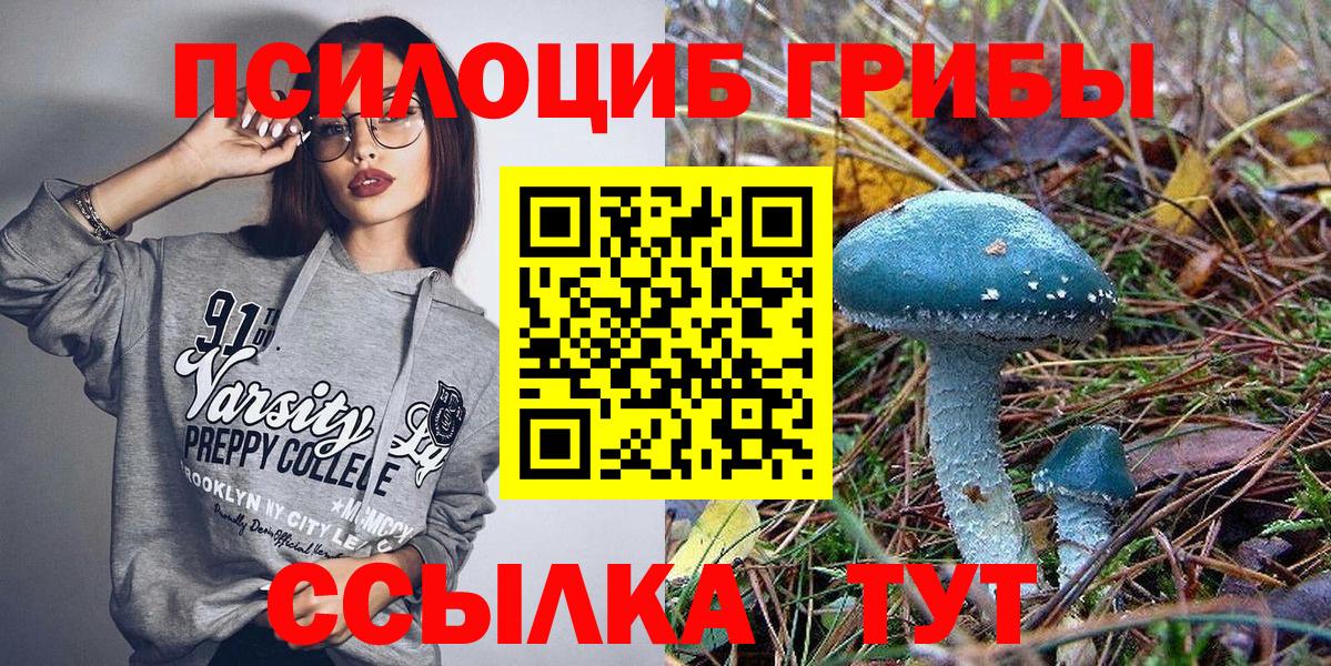 Губаха  Псилоцибиновые грибы Psilocybe  Вход с VPN 