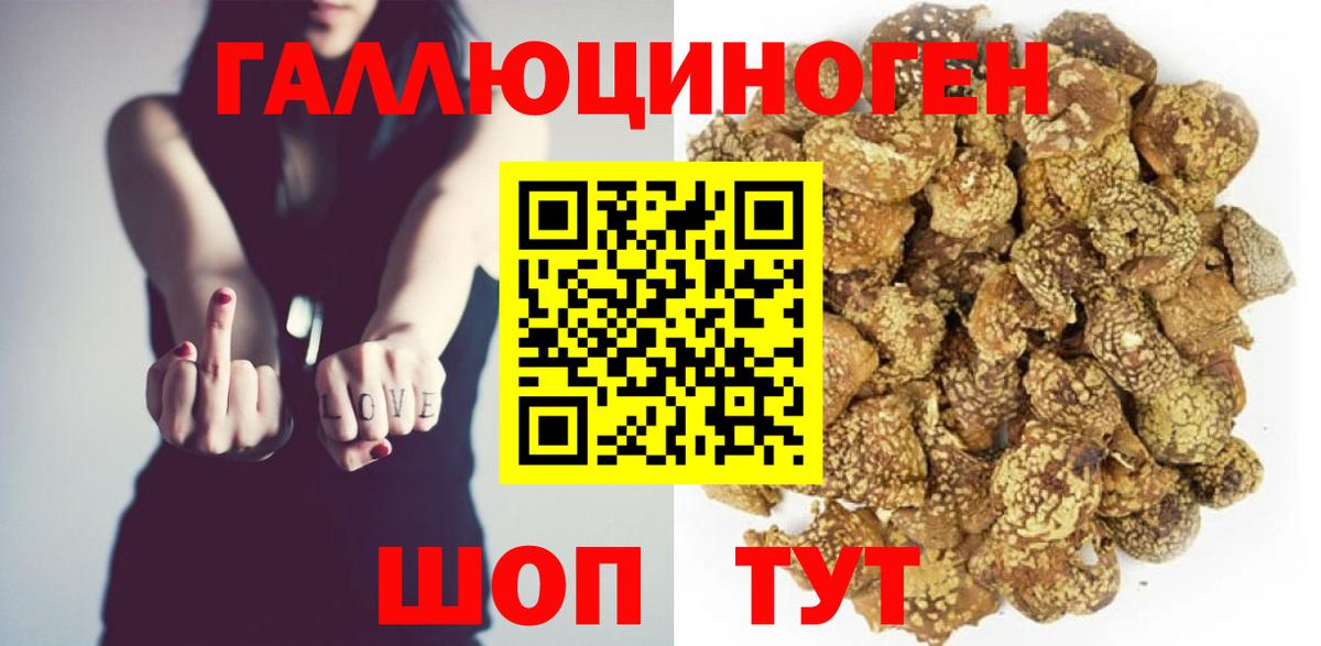 Галлюциногенные грибы Psilocybe Губаха