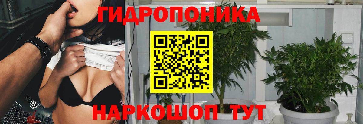МАРИХУАНА SATIVA & INDICA  МАРИХУАНА семена  Губаха  Вход с VPN  Марихуана тримм  Канабис марихуана 